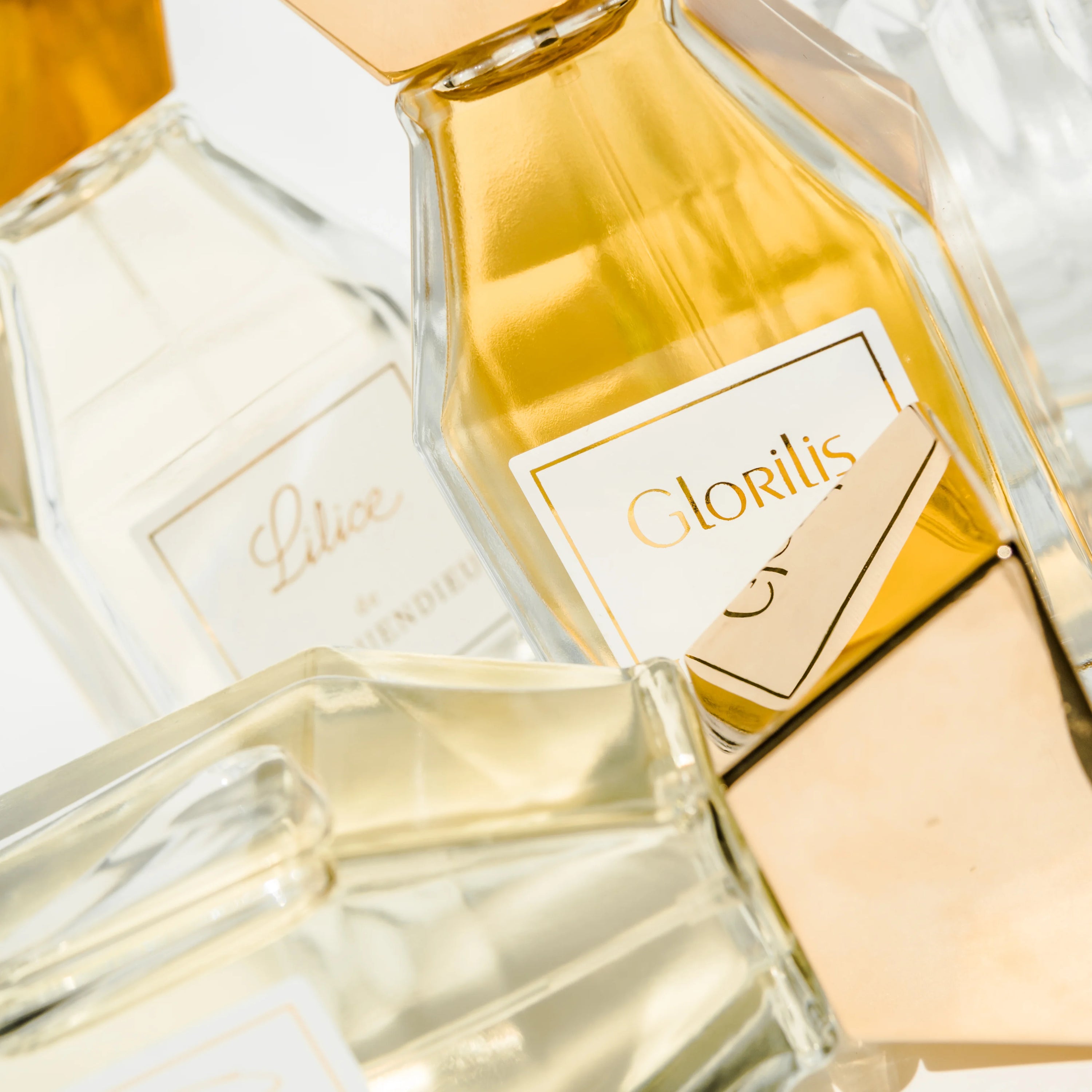 Nischenparfum Glorilis der Marke lesquendieu umgeben von anderen Parfumflakons